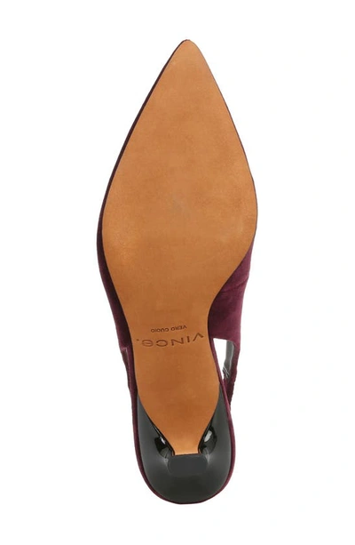 Shop Vince Patrice Slingback Pointed Toe Pump In Plumwine