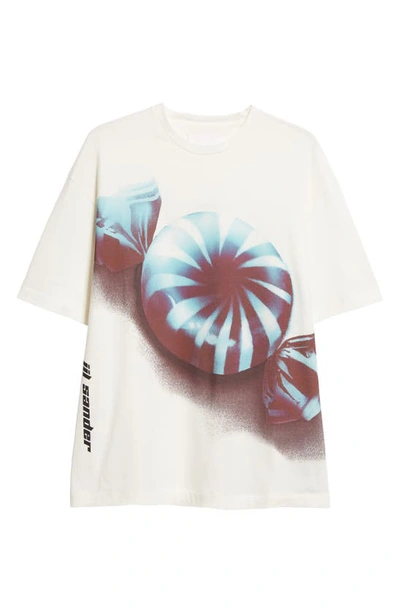 Shop Jil Sander Cotton Graphic T-shirt In Blue Fly Catcher