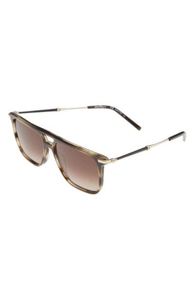 Ferragamo Salvatore  57mm Square Sunglasses In Striped Khaki