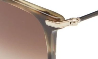 Ferragamo Salvatore  57mm Square Sunglasses In Striped Khaki