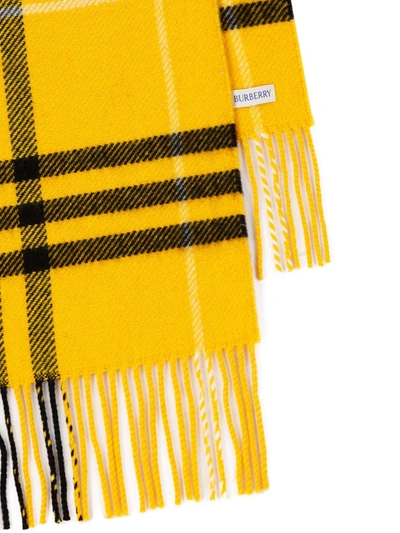 Shop Burberry Scarves In Pear