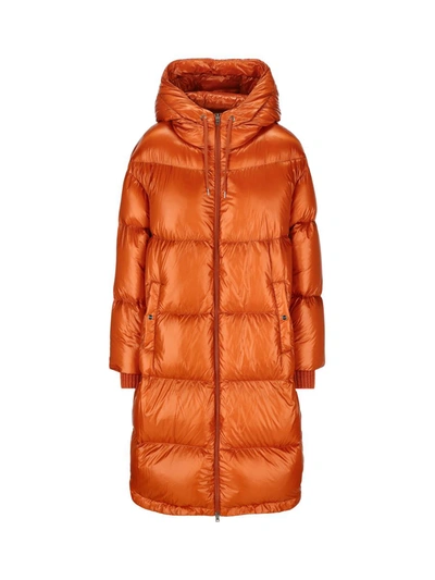 Shop Herno Coats In Orange