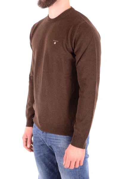 Shop Gant Sweaters In Brown