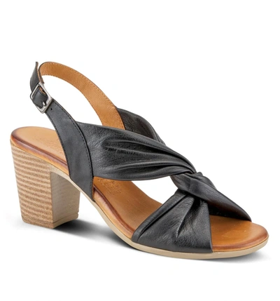 Shop Spring Step Shoes Madeleine Sandal In Black