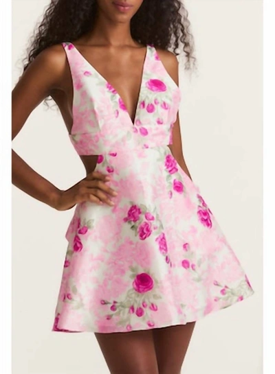 Shop Loveshackfancy Till Dress In Pink Ivy In Multi