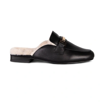 Cloud Nine Ladies Chantelle Slide In Black In Black