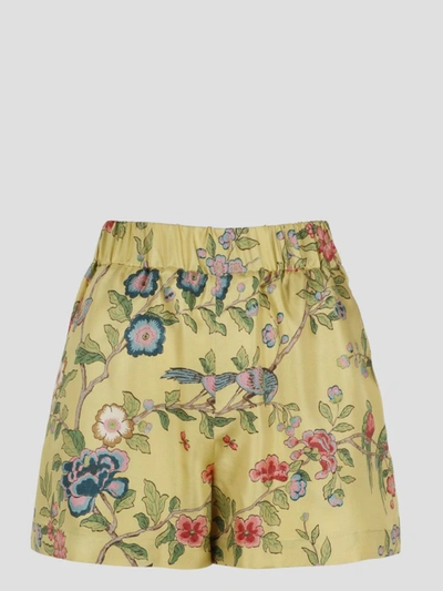 Shop Red Valentino Shorts In 58b