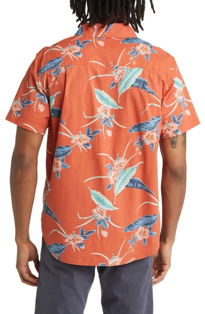 Shop Brixton Charter Regular Fit Tropical Short Sleeve Button-up Shirt In Burnt Red/ Pacific Blue