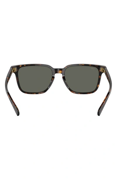 Costa Del Mar Kailano 53mm Polarized Square Sunglasses In Tortoise