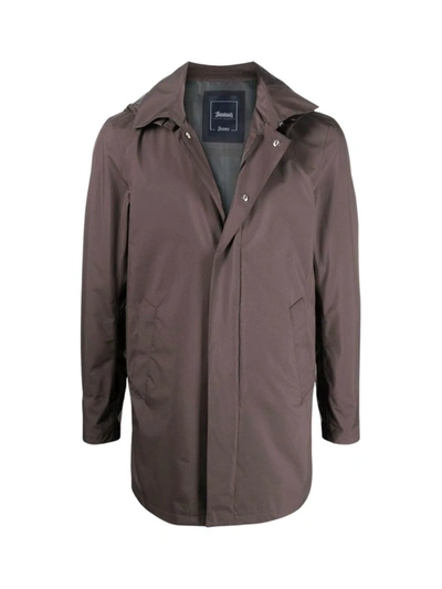 Shop Herno Carcoat Gore With Detachable Hood Clothing In Brown