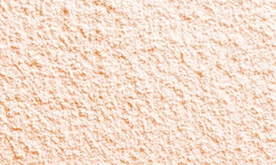 Shiseido Future Solution Lx Total Radiance Loose Powder