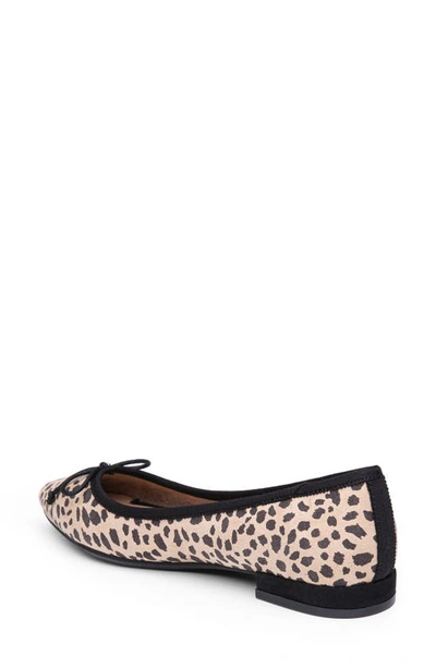 Shop Me Too Perrin Pointed Toe Flat In Natural Black Cheetah