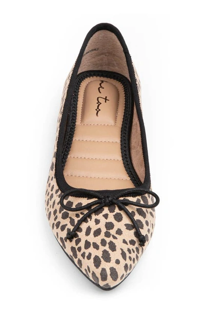 Shop Me Too Perrin Pointed Toe Flat In Natural Black Cheetah