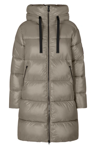 Shop Save The Duck Isabel Insulated Puffer Coat In Elephant Grey