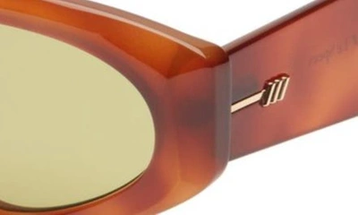 Shop Le Specs Under Wraps Oval Sunglasses In Vintage Tort