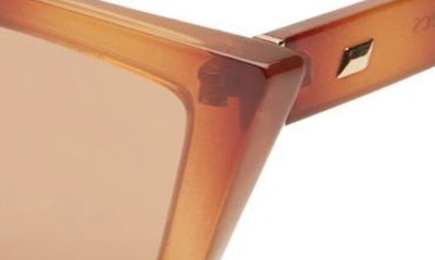 Shop Le Specs Velodrome Cat Eye Sunglasses In Vintage Tort