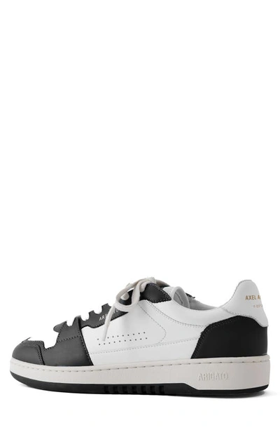 Shop Axel Arigato Dice Lo Sneaker In White/ Black