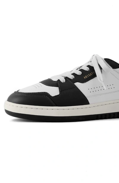 Shop Axel Arigato Dice Lo Sneaker In White/ Black