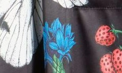 Dressed In Lala Dressed In Folklore