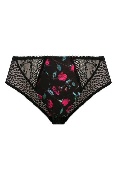 Shop Elomi Lucie High Cut Briefs In Rock And Rose