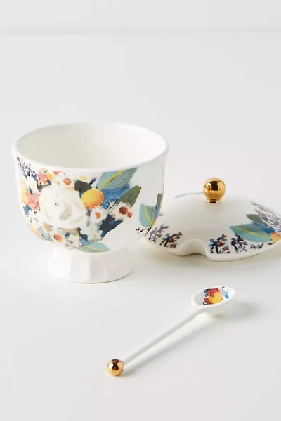 Anthropologie Botanica Sugar Pot