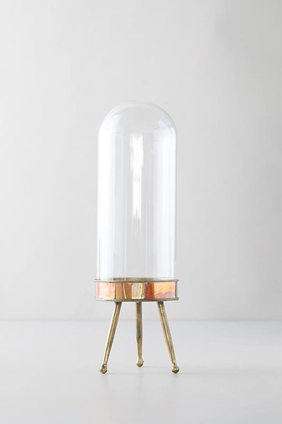 Terrain Distressed Metal + Glass Terrarium On Stand