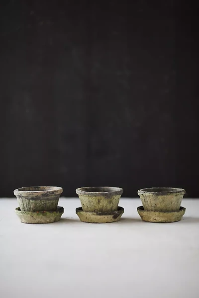 Terrain Earth Fired Clay Thin Rim Pot + Saucer, Set Of 3