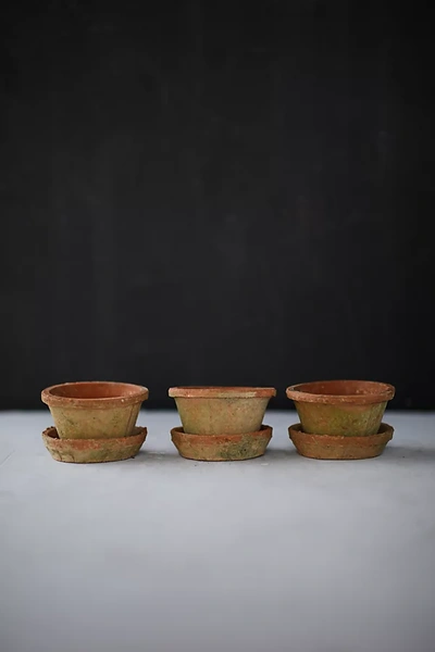 Terrain Earth Fired Clay Thin Rim Pot + Saucer, Set Of 3