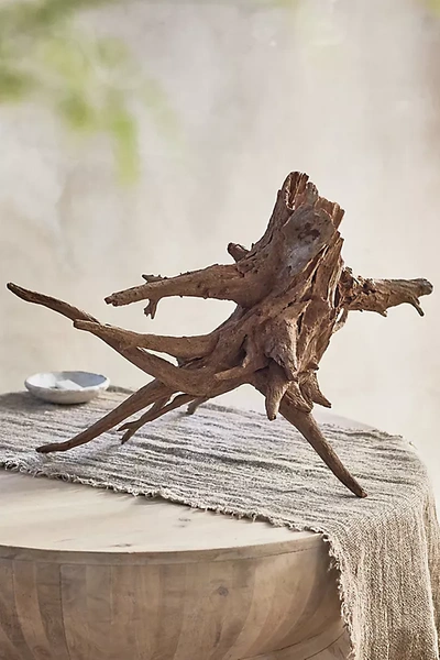 Terrain Eucalyptus Wood Stump, 16-20"