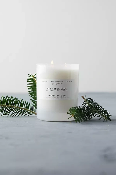 Terrain Sydney Hale Candle, Fir + Blue Sage