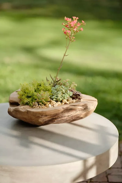 Terrain Teak Root Round Bowl Planter, 18"