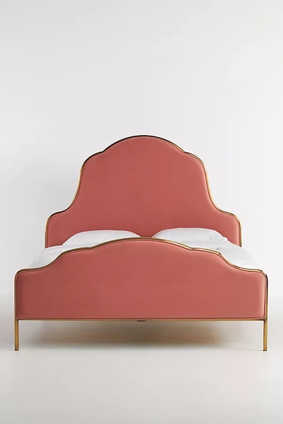 Shop Anthropologie Velvet Fenna Bed In Pink