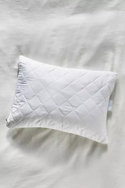 Fluffbase Eucalyptus Pillow
