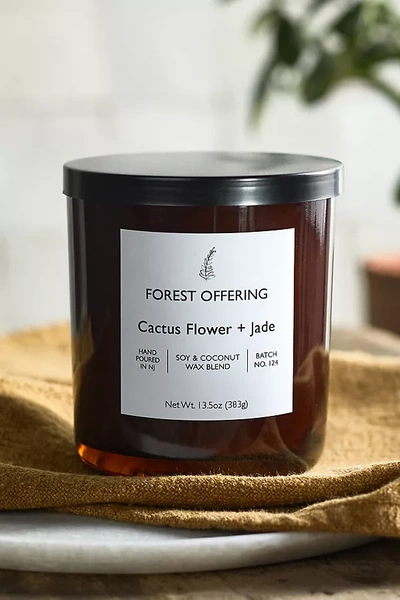 Shop Terrain Forest Offering Candle, Cactus Flower + Jade