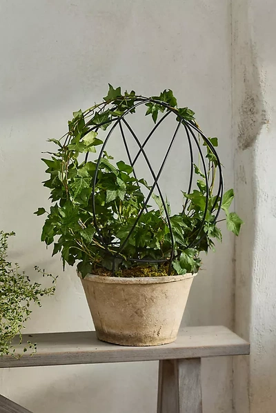 Terrain Globe Iron Trellis Frame