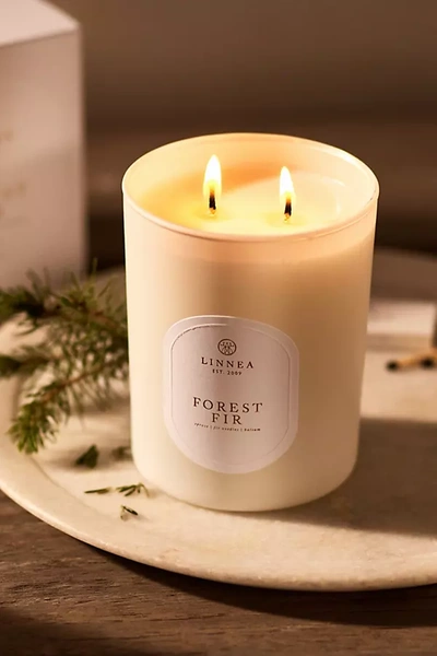 Terrain Linnea Candle, Forest Fir