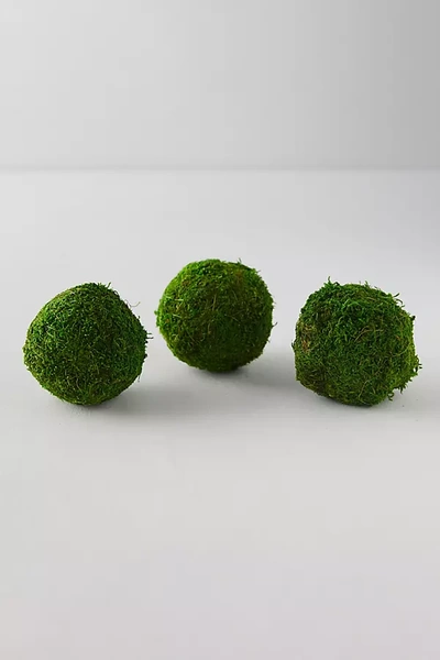 Terrain Natural Moss Balls, Set Of 3