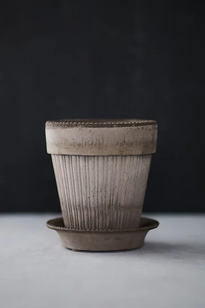 Shop Terrain Bergs Dotted Pot + Saucer