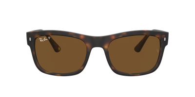 Shop Ray Ban Ray In Brown