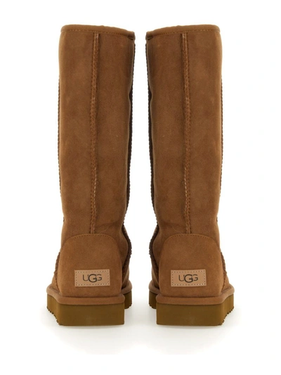 Shop Ugg Boot "classicl Tall Ii" In Brown