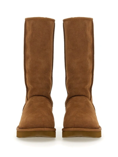Shop Ugg Boot "classicl Tall Ii" In Brown