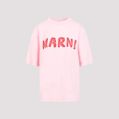 Shop Marni Cotton T-shirt In Loc Cinder Rose