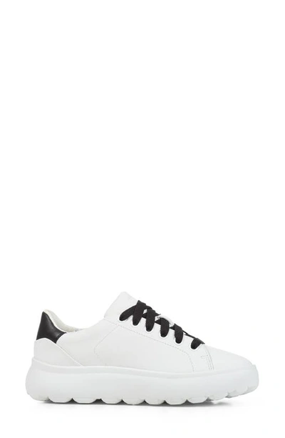 Shop Geox Spherica Sneaker In White/ Black