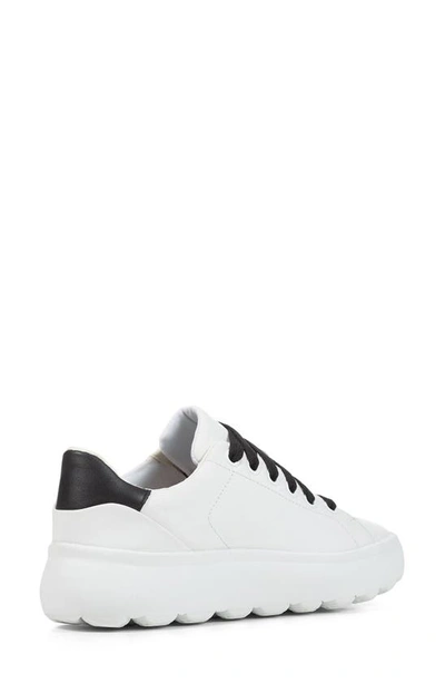 Shop Geox Spherica Sneaker In White/ Black