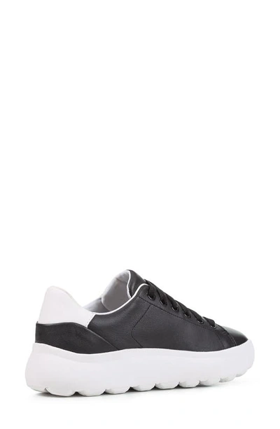 Shop Geox Spherica Sneaker In Black/ White