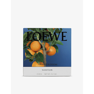 Shop Loewe Orange Blossom Large Scented Candle 2120g