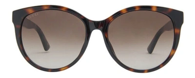 Pre-owned Gucci Gg0636sk Womens Round Sunglasses Tortoise Havana Gold/brown Gradient 56 Mm In Multicolor