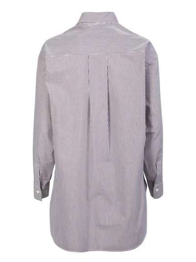 Shop Blanca Vita Multicolor Stripe Cotton Shirt In Grey