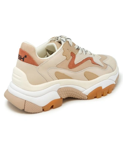 Shop Ash Beige Leather Addict Sneakers In Neutrals