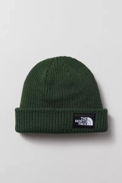 Shop The North Face Salty Dog Lined Beanie In Olive, Men's At Urban Outfitters